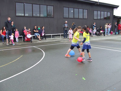 motueka11