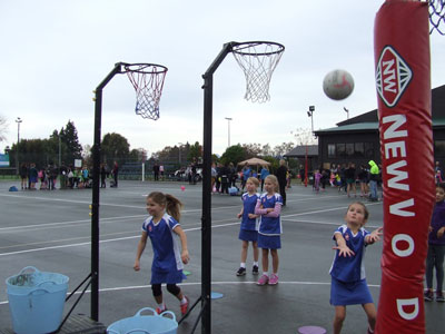 motueka17